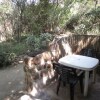 Отель Pure Wilderness in Amanzimlotzi Riverside Bush Tent in Limpopo, Kruger Park, фото 11