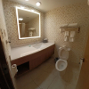 Отель Holiday Inn McAllen – Medical Center Area, an IHG Hotel, фото 9