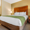 Отель Comfort Inn & Suites, фото 6