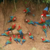 Отель Ñape Lodge, фото 12