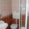 Отель Pensiunea Diana, фото 7