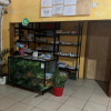 Отель OYO Hotel Cannacare, фото 1