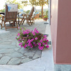 Отель Villa Aris, фото 22