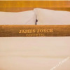 Отель James Joyce Coffetel Xishuangbanna Manjinglan Ancient City, фото 40