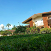 Отель Eco Arenal Hotel, фото 1