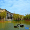 Отель Vienna Hotel (Shenzhen Pingshan Yizhan Garden), фото 19