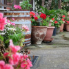 Отель Thanasis Matsas Rooms, фото 7
