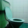 Отель Hansika Guest Inn, фото 4