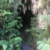 Отель Waitomo Caves Guest Lodge, фото 37
