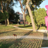 Отель Casa Giardini, фото 9