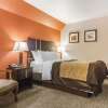 Отель Comfort Inn And Suites, фото 34