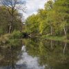 Отель Oakdale at Abingdon Court, фото 12