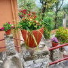 Отель Hidden Paradise Guest House, фото 28