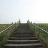 Отель Beautiful Holiday Home in Texel Near Sea, фото 13