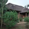 Отель Irungu Forest Safari Lodge, фото 20