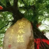 Отель Yunshui Jingxiu Inn, фото 2