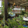 Отель Laocheng Yard Homestay, фото 12