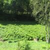 Отель Cozy Chalet in Bohan Near Forest, фото 2