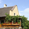 Отель Andrew Guest House Tihany, фото 9