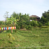 Отель Baan Suan Phuchareef, фото 16