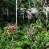 Отель Explorama Lodge, фото 12