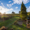 Отель Winzer Suite - Weingut Dietl, фото 16