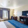 Отель Best Western Northwest Corpus Christi Inn & Suites, фото 6