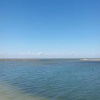 Отель ЛОК Черноморец, фото 11