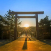 Отель ARASHIMA INN 203 / Vacation STAY 230, фото 2