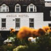 Отель Angus Hotel, фото 1