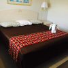 Отель Apollo Inn Motel, фото 6
