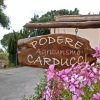Отель Agriturismo Podere Carducci, фото 1