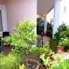 Отель Dragan - Close to the sea & Center - A2, фото 16