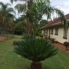 Отель Palm villa, фото 11