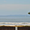 Отель Waikanae Beach Motel, фото 16