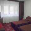 Отель Pensiunea Tranzit, фото 5