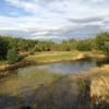 Отель Willowbarn Self-Catering Rafford, фото 6