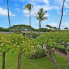 Отель Napili Shores F246, фото 19