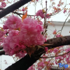 Отель Yinhuawu Guesthouse, фото 11