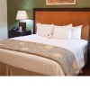 Отель Blue Horizons Garden Resort в Сент-Джордж