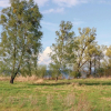 Отель Stunning Apartment in Rechlin With 2 Bedrooms, Sauna and Wifi, фото 20