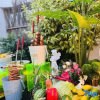 Отель Yulin Xiaozhu Homestay (Shanghai Safari Park), фото 10