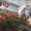 Отель Weizhou Island Banyuexin Yumei Villa Resort Hotel (Shell Beach Blue Bridge), фото 8