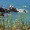 Отель Emerald Cove II, фото 3