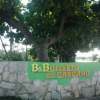 Отель B&B Uliveto del Gargano, фото 8