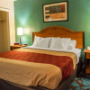 Отель Fort Lauderdale Gardens Inn & Suites, фото 5