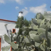 Отель Casolare Muzio B&B, фото 7