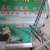 Отель Jiayuan Express Hostel, фото 5