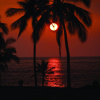 Отель Kona Coast Resort, фото 19