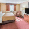 Отель Quality Inn & Suites Downtown, фото 4